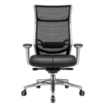 Executive Mesh