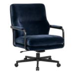 Lounge Director